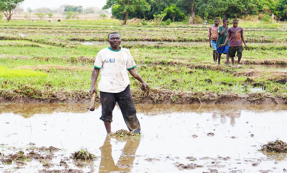 Agridigitale.tg - Actualité numérique agricole au Togo et en Afrique