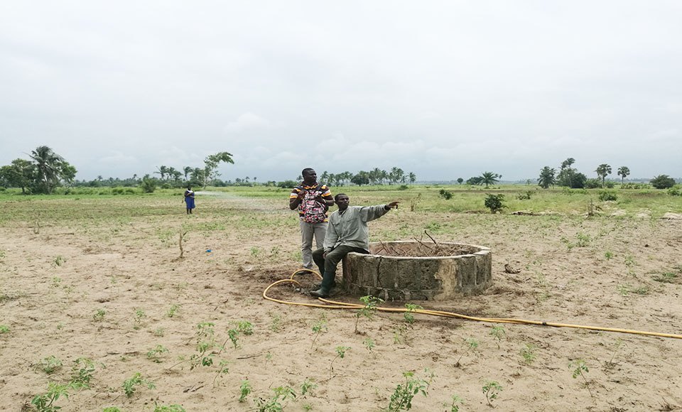 Agridigitale.tg - Actualité numérique agricole au Togo et en Afrique