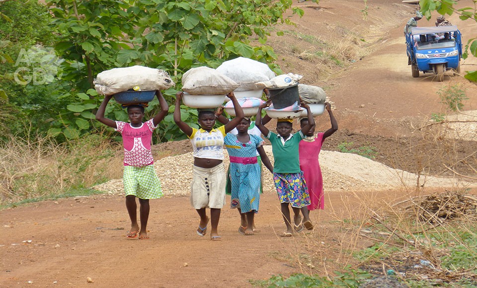 Agridigitale.tg - Actualité numérique agricole au Togo et en Afrique