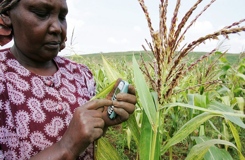 Agridigitale.tg - Actualité numérique agricole au Togo et en Afrique