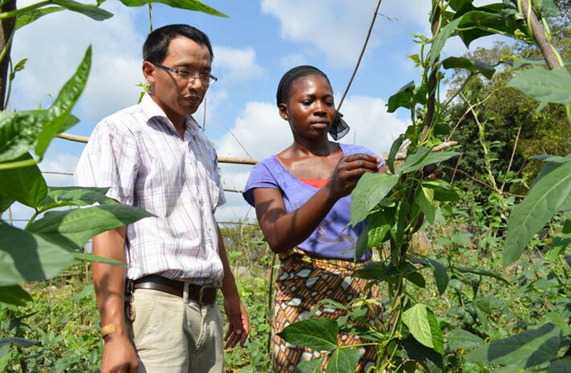 Agridigitale.tg - Actualité numérique agricole au Togo et en Afrique